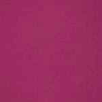 Violette