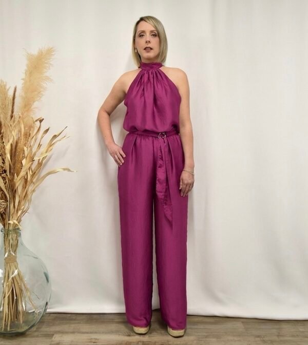 Evidence violette1